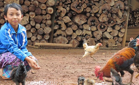 Donations in Action - Chickens, Sri Lanka