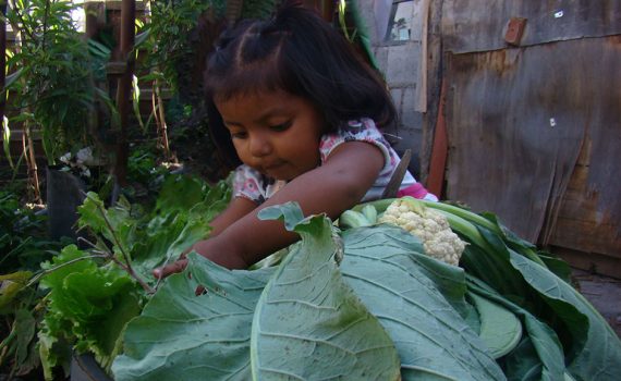 Seeds for healthy development in Ecuador